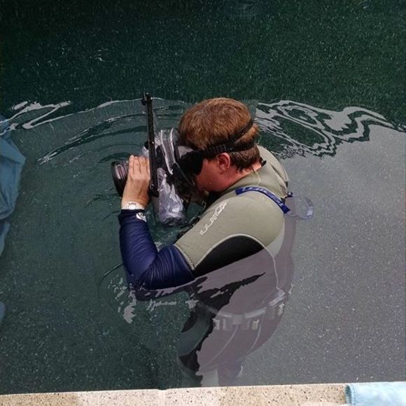 Meet your Posher, Cheryl - Picture 1 of 1